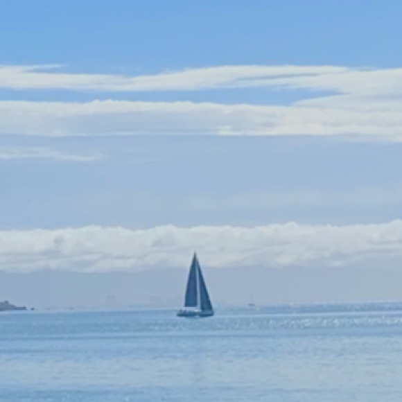 ⭐️ - Picture 1 of 1